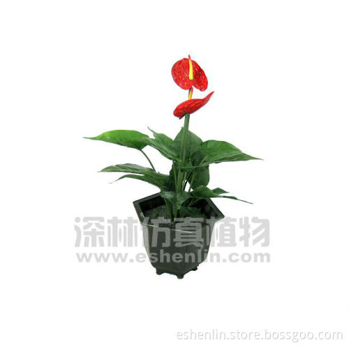 Top popular wholesale artificial anthurium plant,fake red anthurium